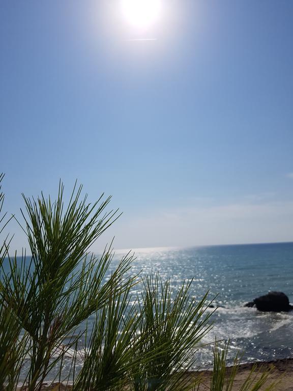 2 Palma * Durrës